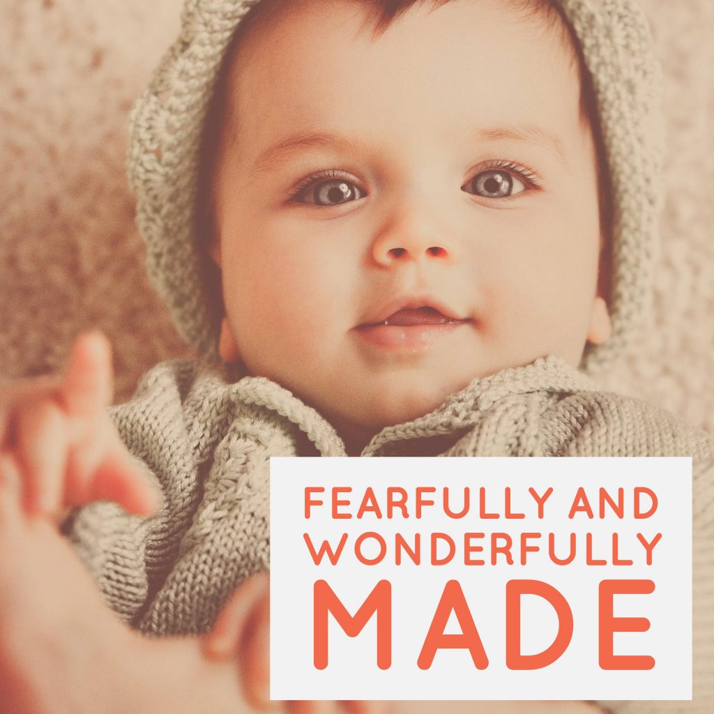 You are fearfully and wonderfully made