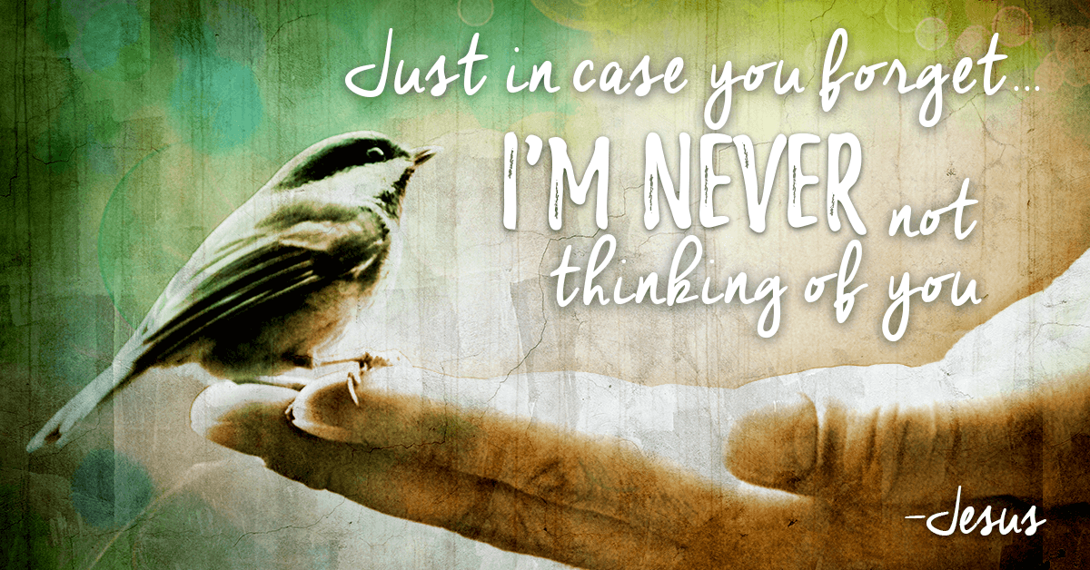 Just In Case You Forget I Am Never Not Thinking Of You just-in-case-you-forget-i-am-never-not-thinking-of-you