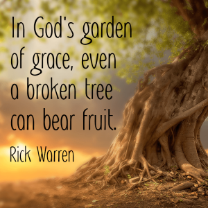 In God's garden of grace, even a broken tree can bear fruit