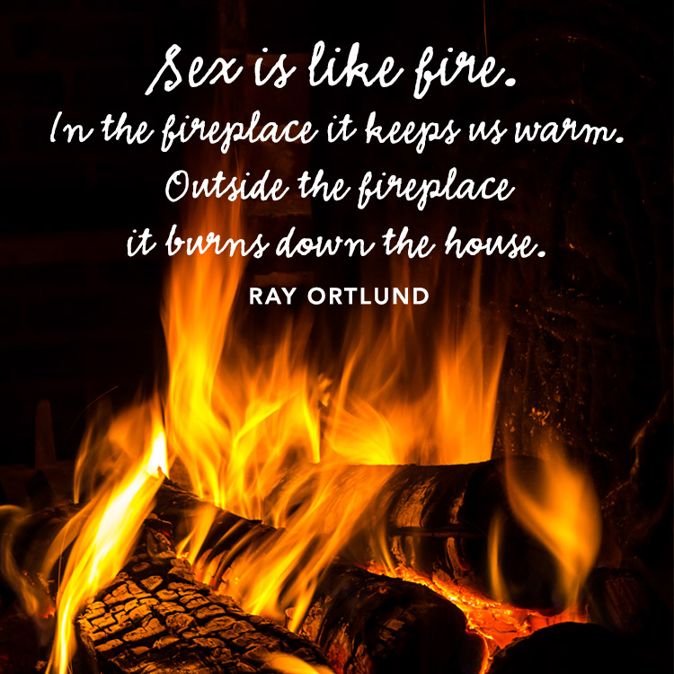 Sex Is Like Fire In The Fireplace It Keeps Us Warm Outside The Fireplace It Sermonquotes 