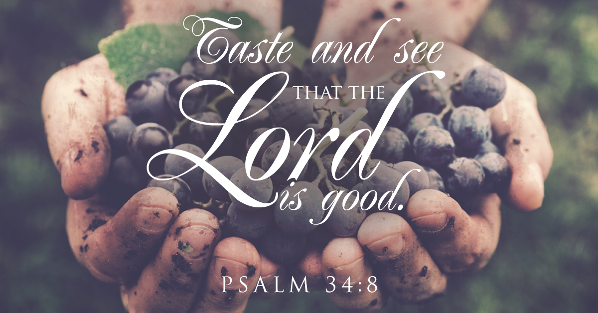 taste-and-see-that-the-lord-is-good-sermonquotes